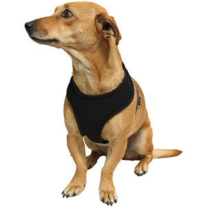 Dog Harness - $9 with FREE Shipping!